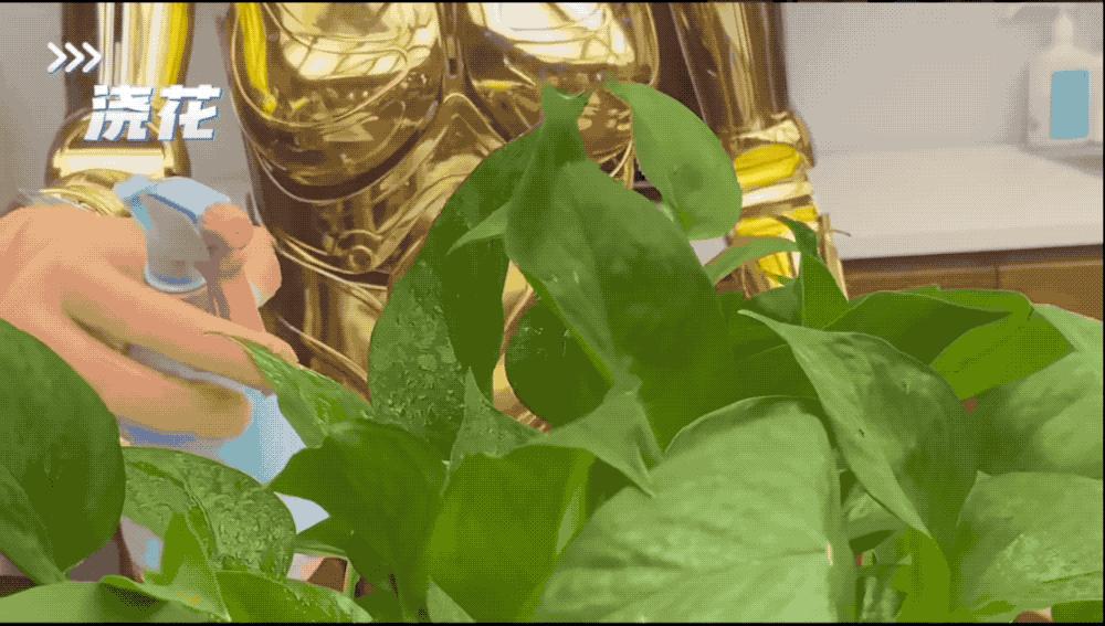 一只“手”，难倒人形机器人